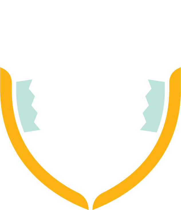 5-Icon